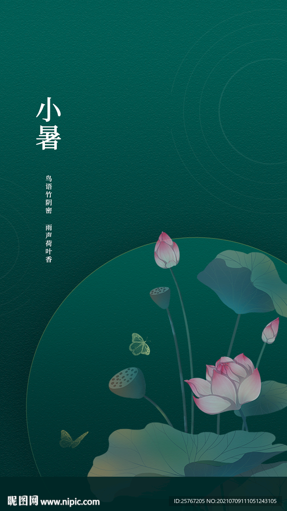 小暑24节气夏天荷花盛开绿色