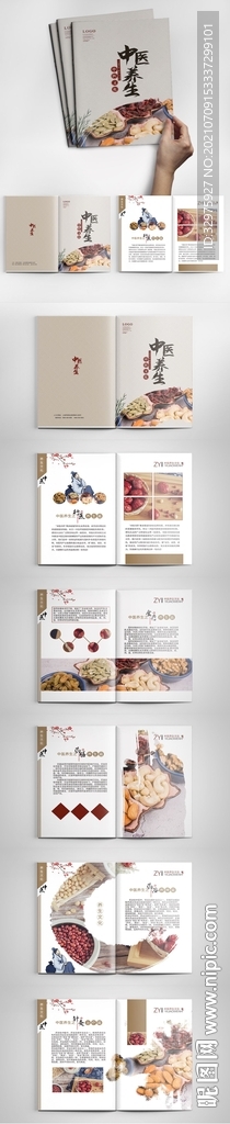 水墨中国风中医养生画册