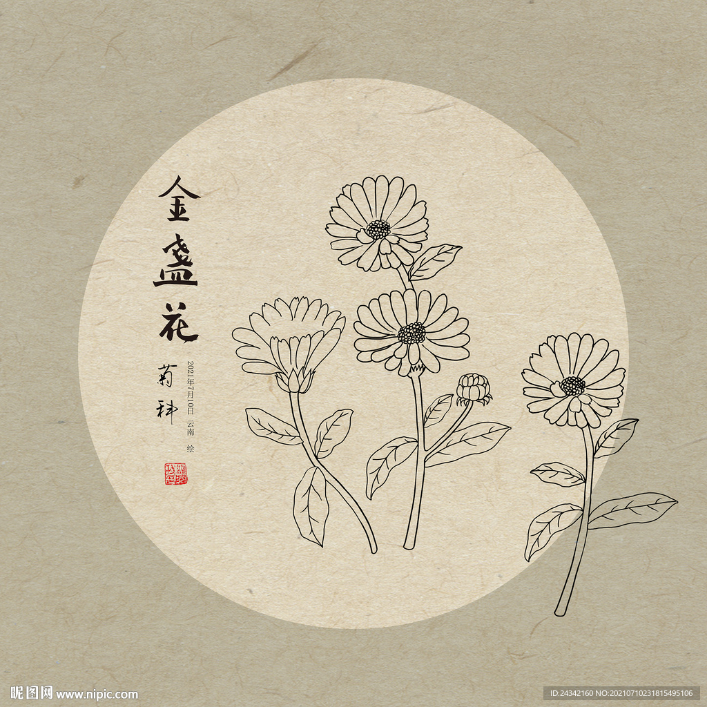 手绘金盏花