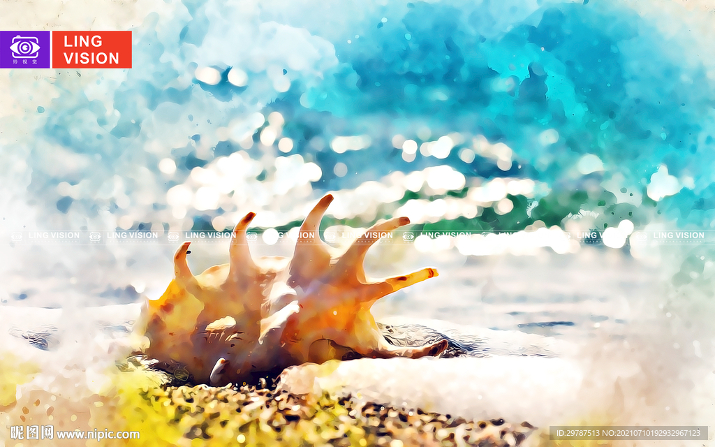 海螺
