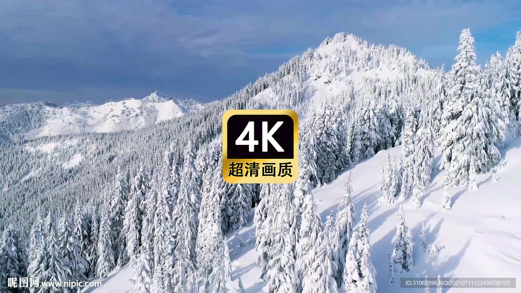 短视频素材航拍雪山上雪林