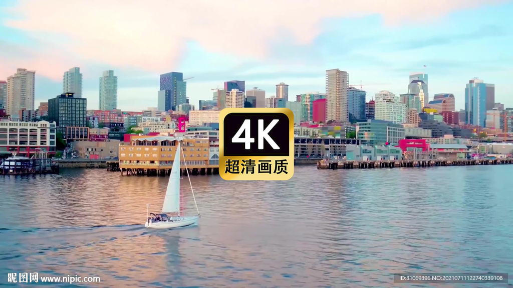 短视频素材航拍海港城市建筑群