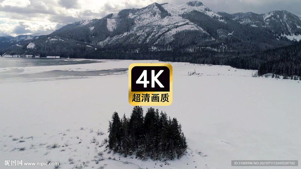 短视频素材航拍雪原上的小树林