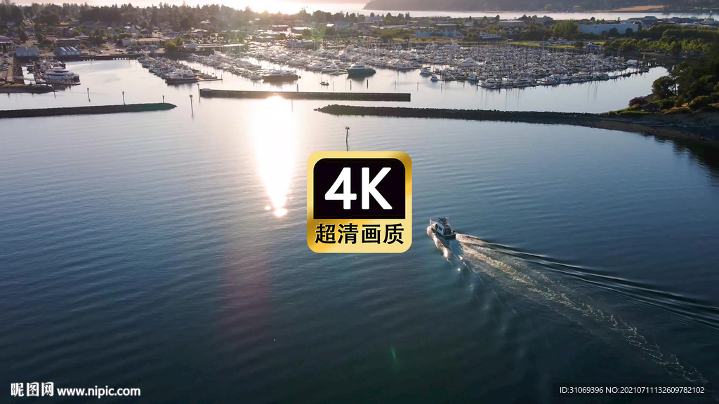 短视频素材航拍海港码头游艇