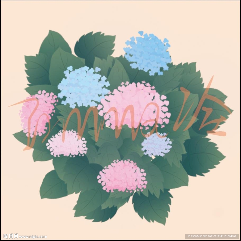 绣球花