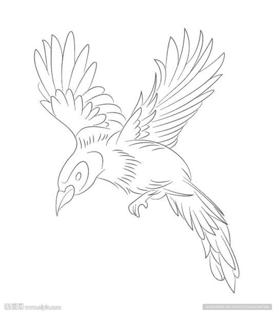 鸟