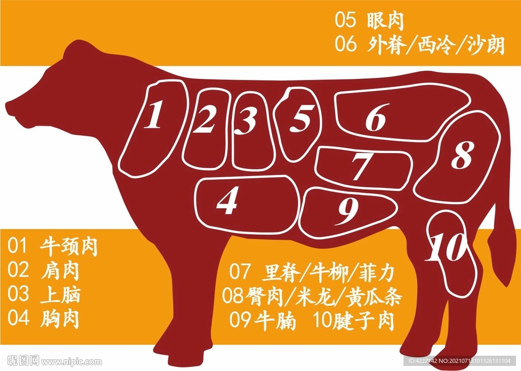 牛的分解图