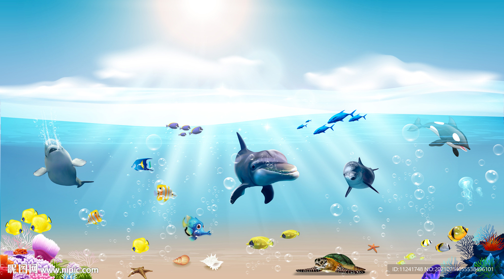 海豚