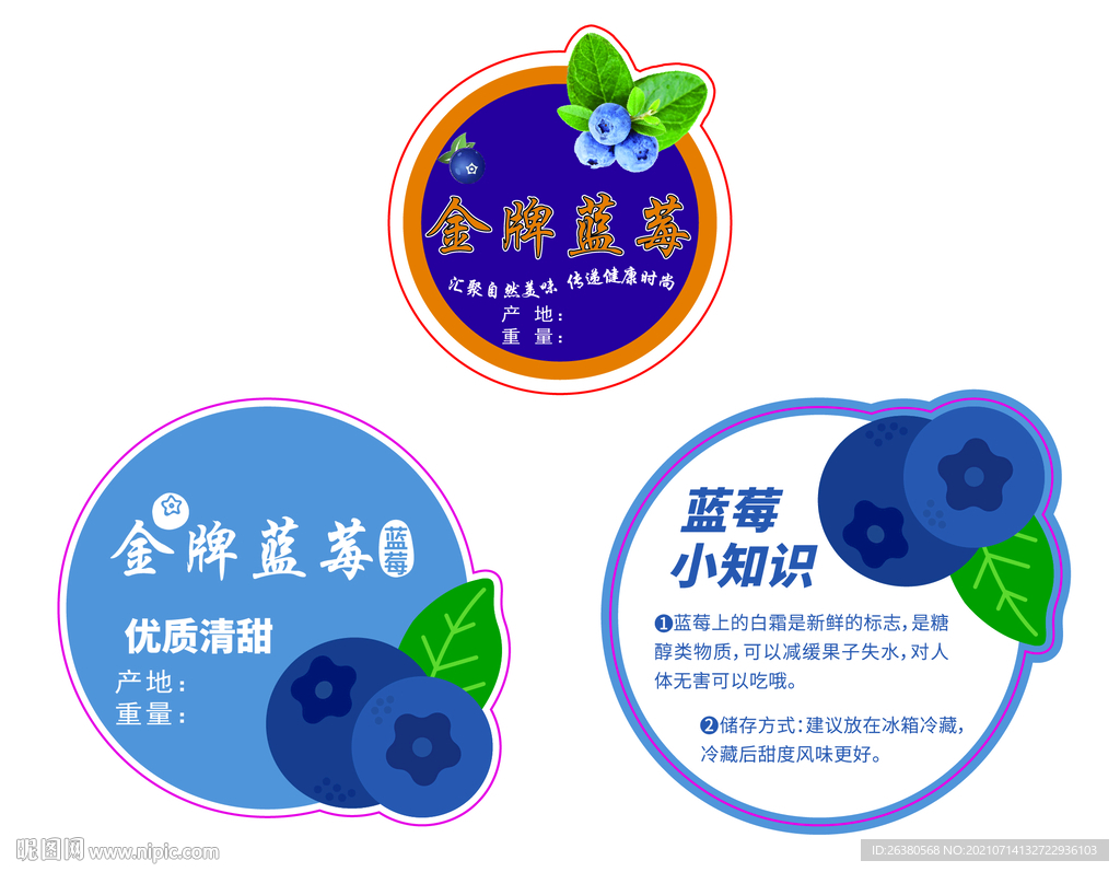 金牌蓝莓