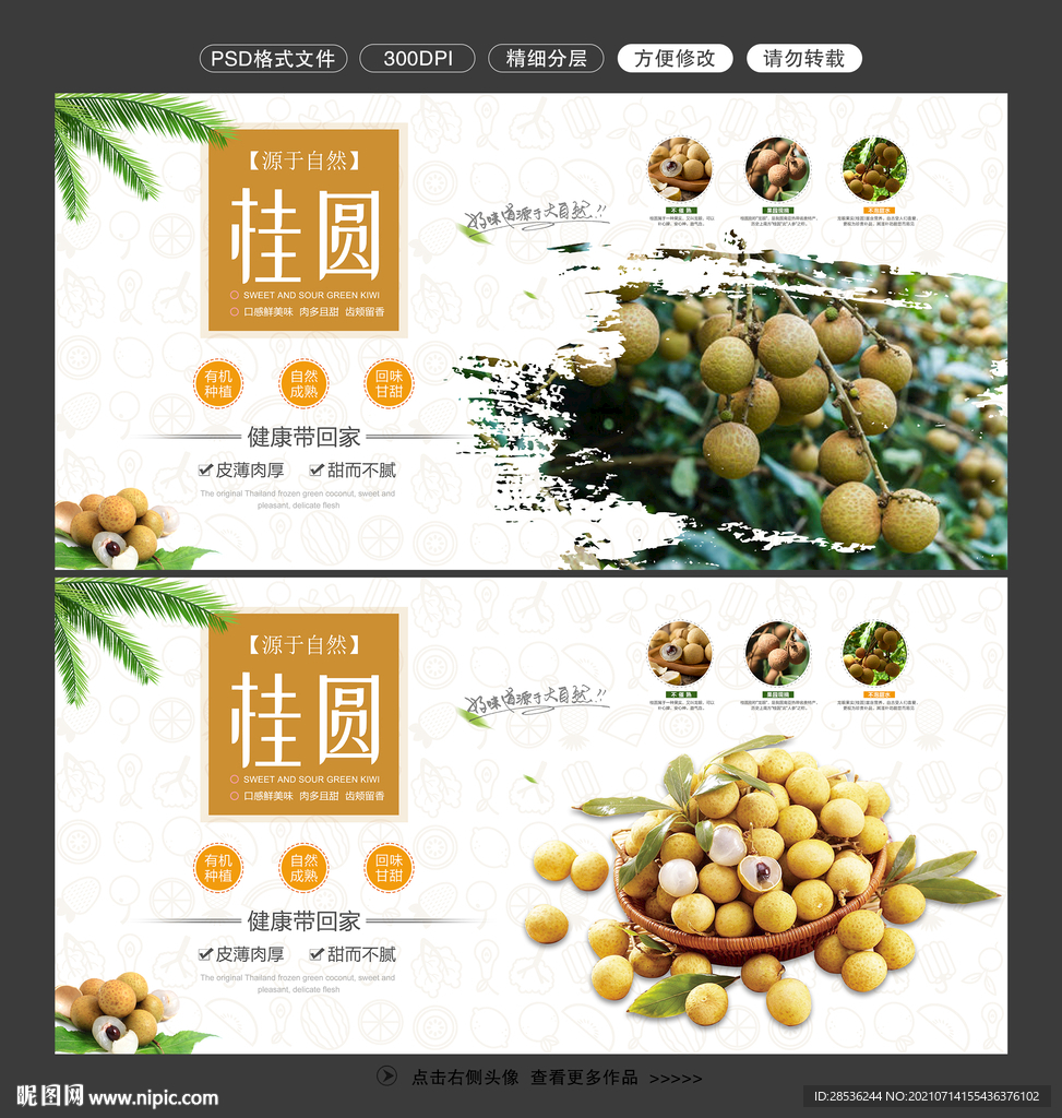 桂圆图片