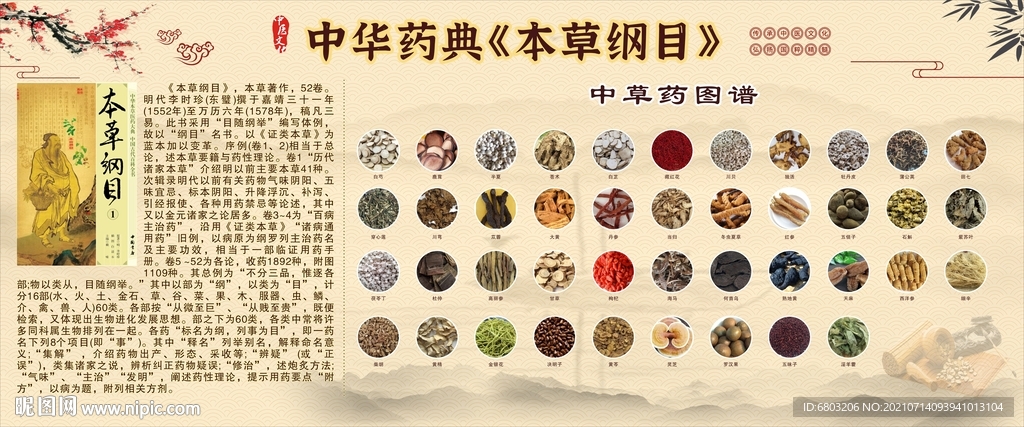 本草纲目