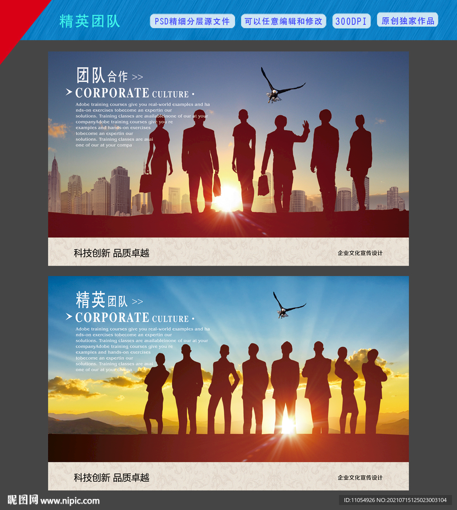 精英团队