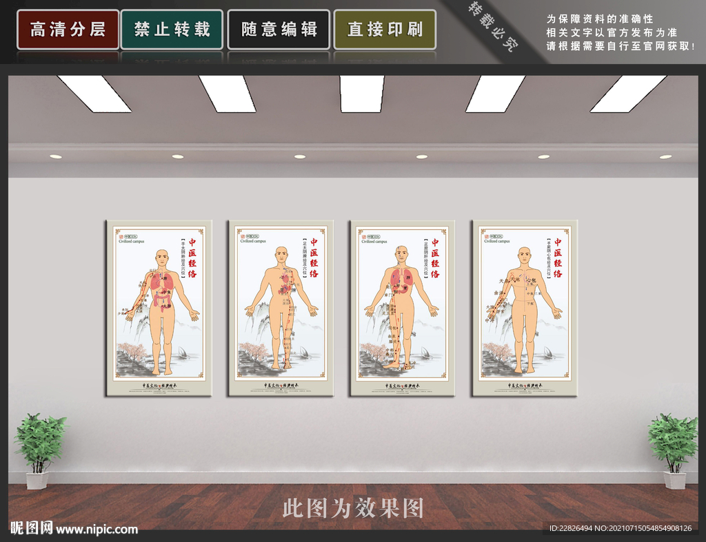 中医穴位图