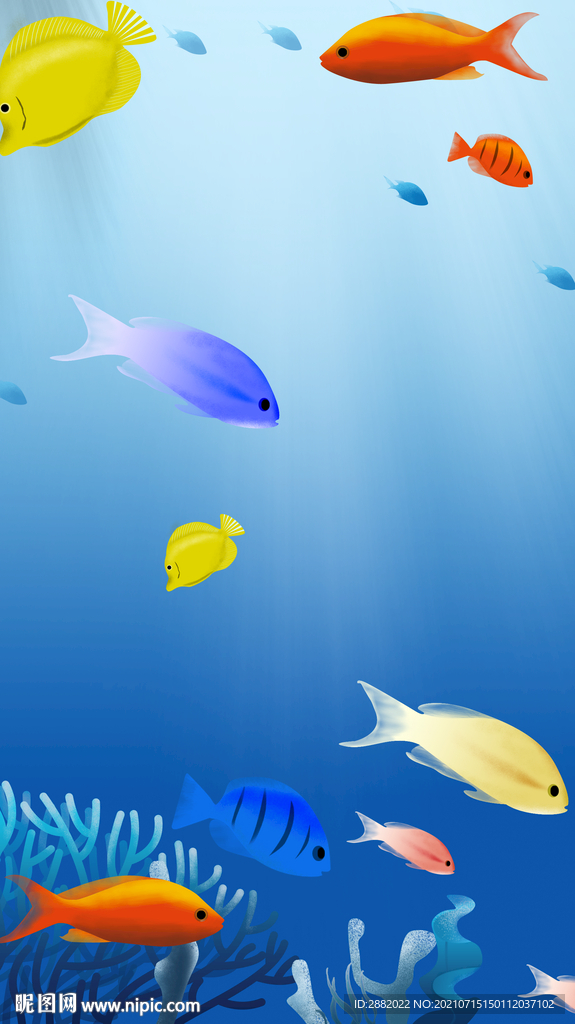 海底 世界