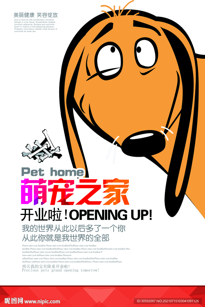 宠物之家 