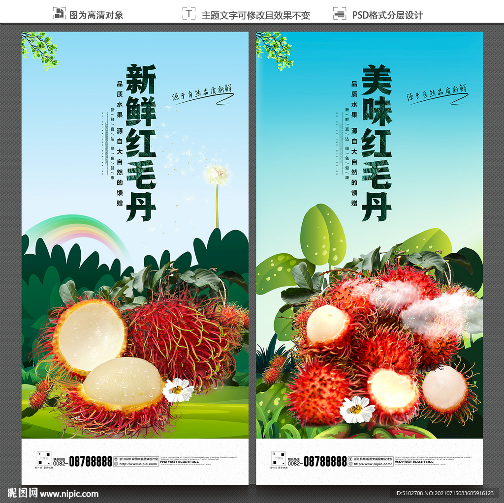 红毛丹