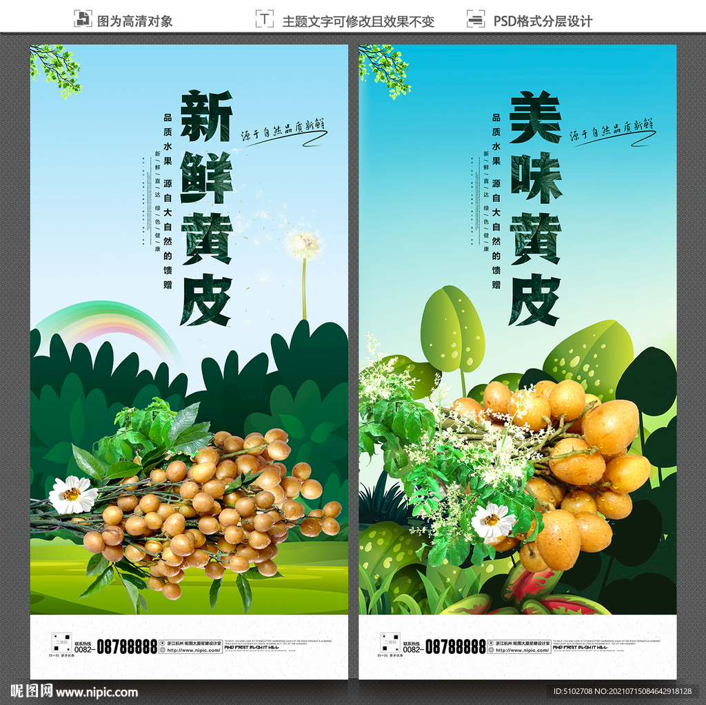黄皮