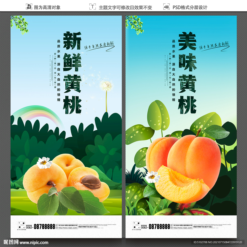 黄桃