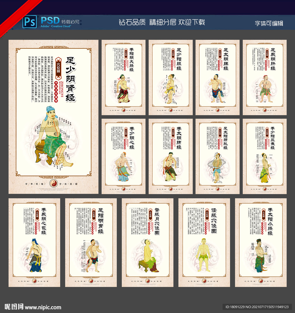 穴位图