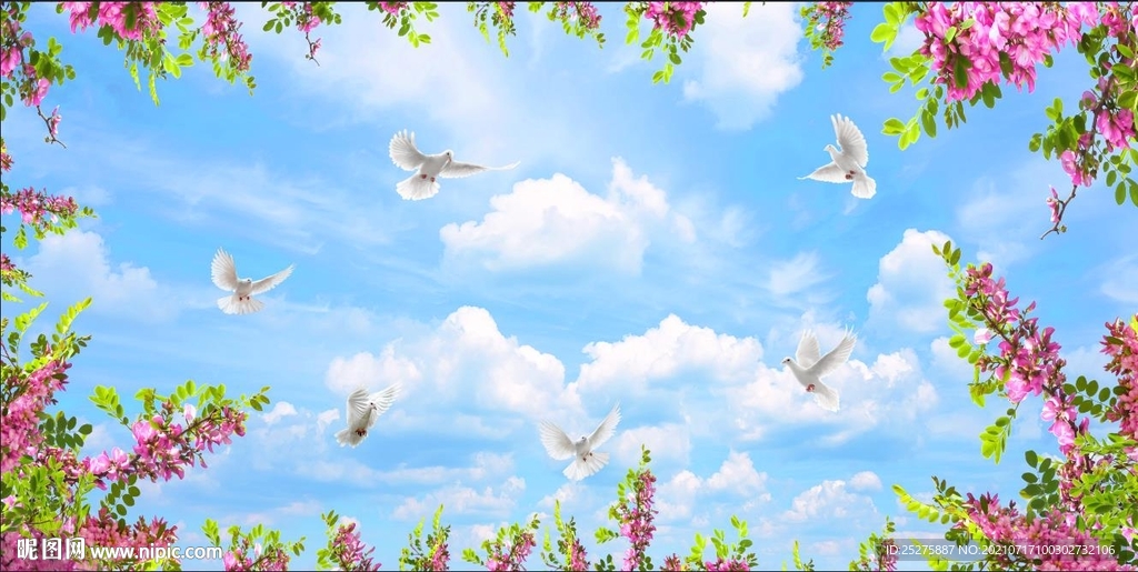 蓝天白云鲜花鸽子