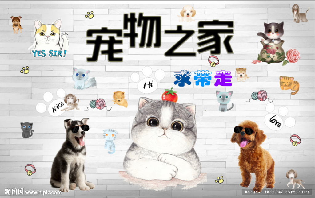 宠物之家工装背景墙