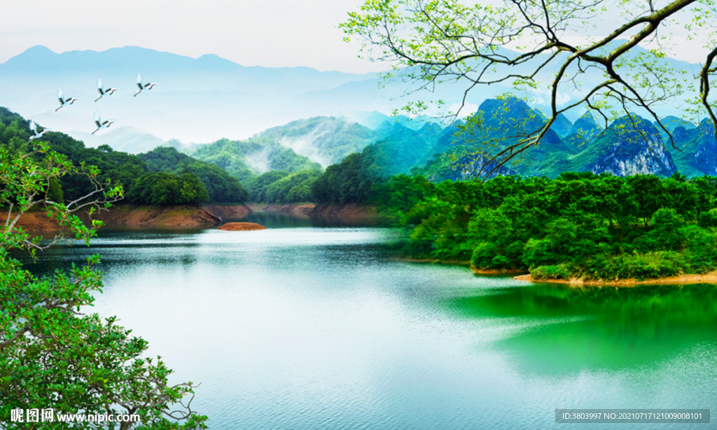 美丽风景