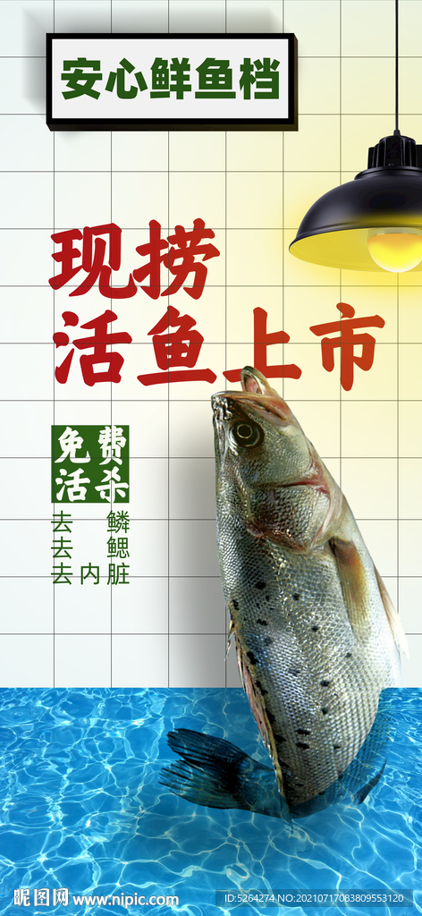现捞活鱼
