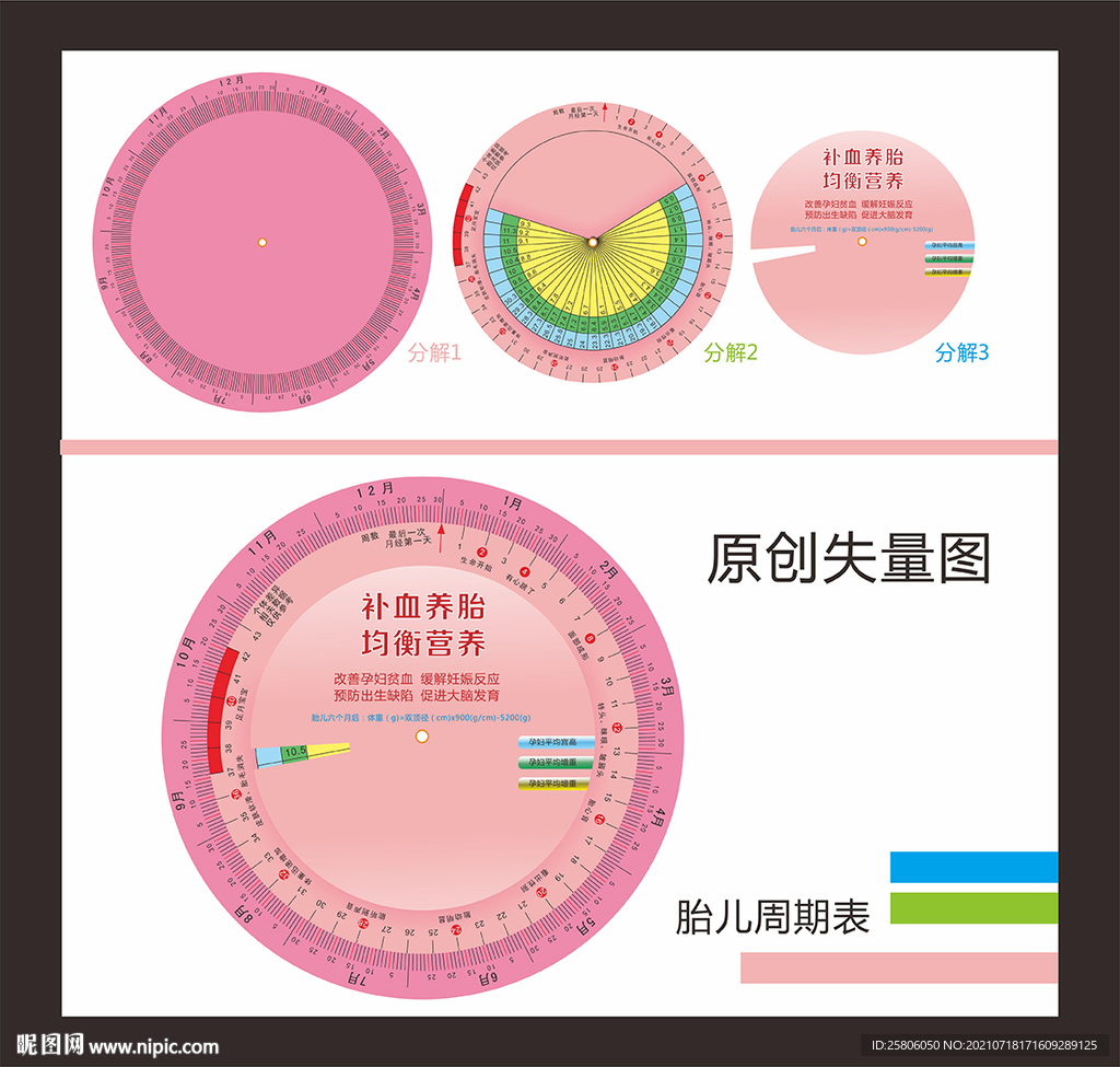 胎儿周期表