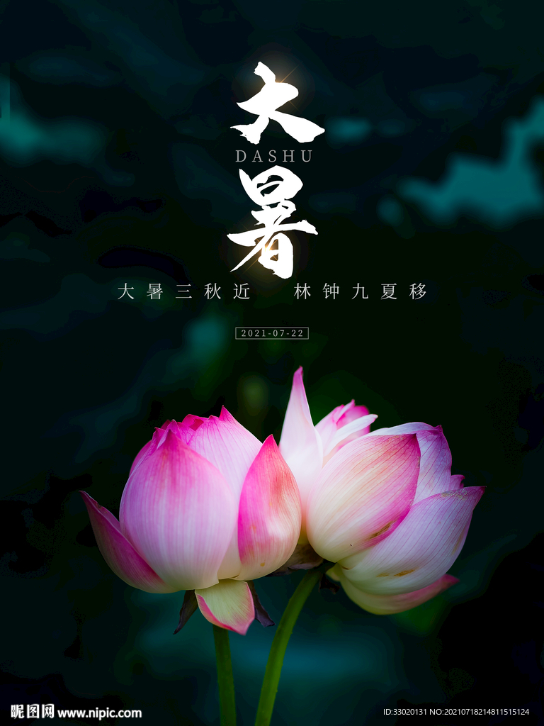 节气海报