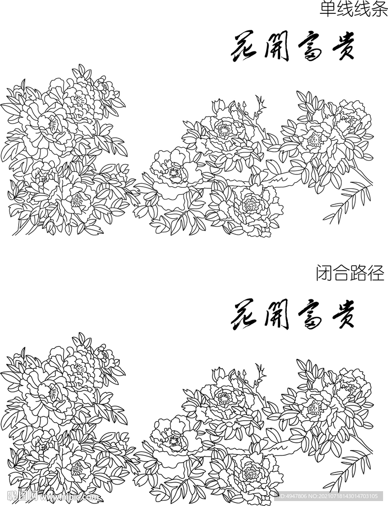 牡丹花 矢量图