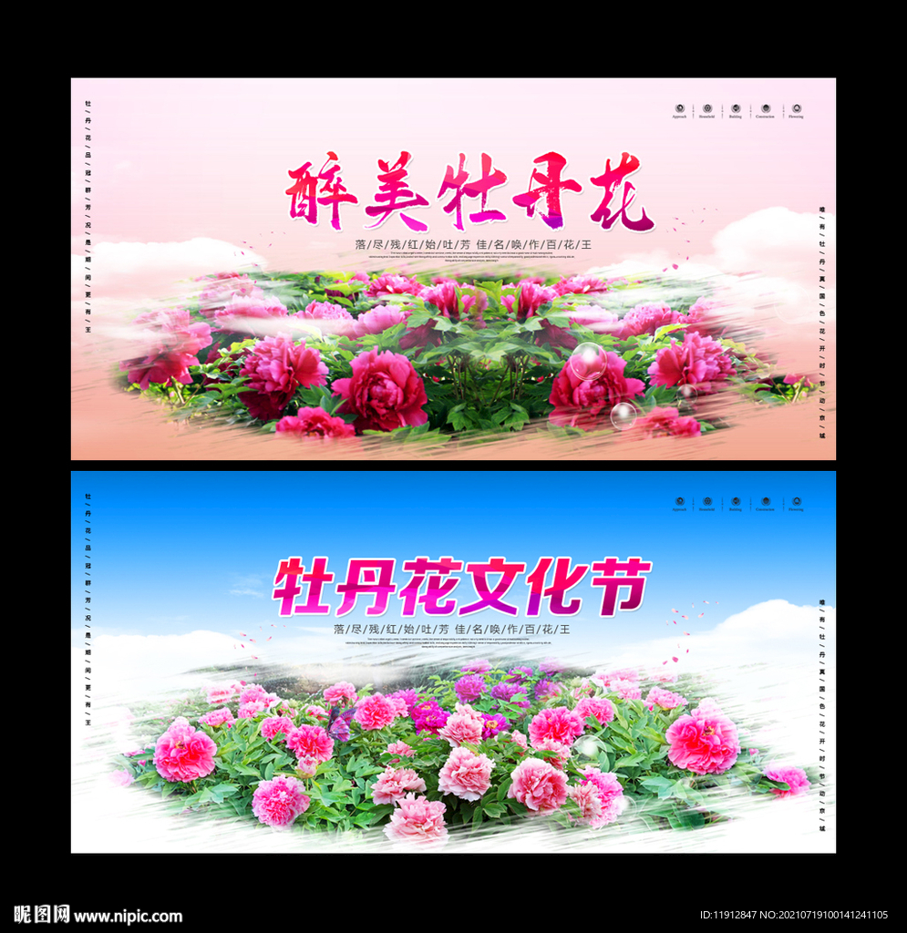 牡丹花