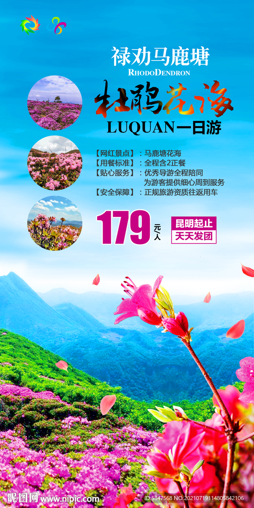 马鹿塘杜娟花海