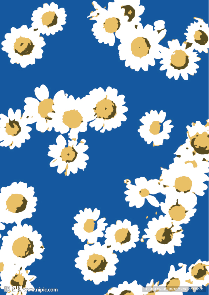 蓝色背景上的小雏菊太阳花