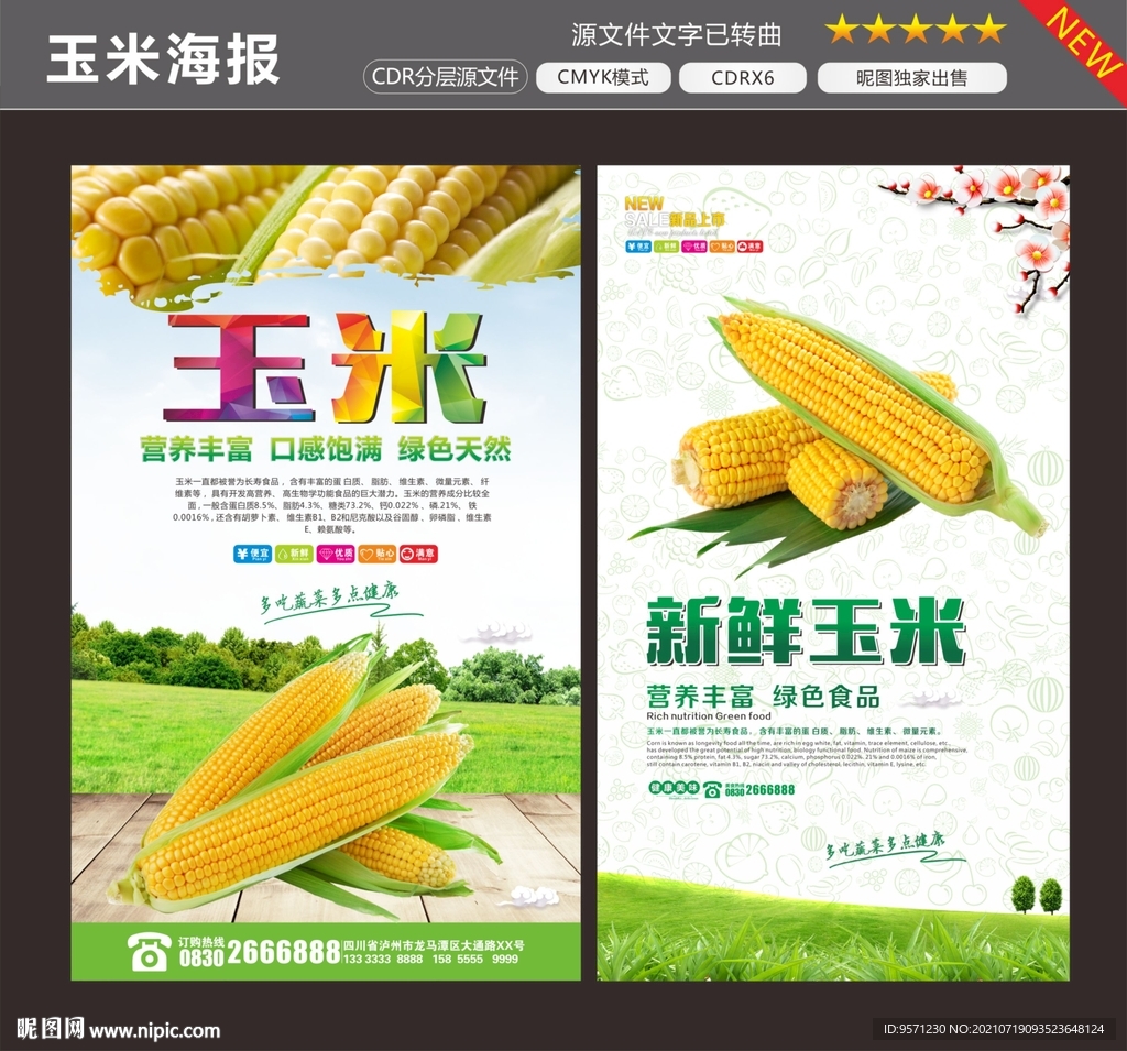玉米
