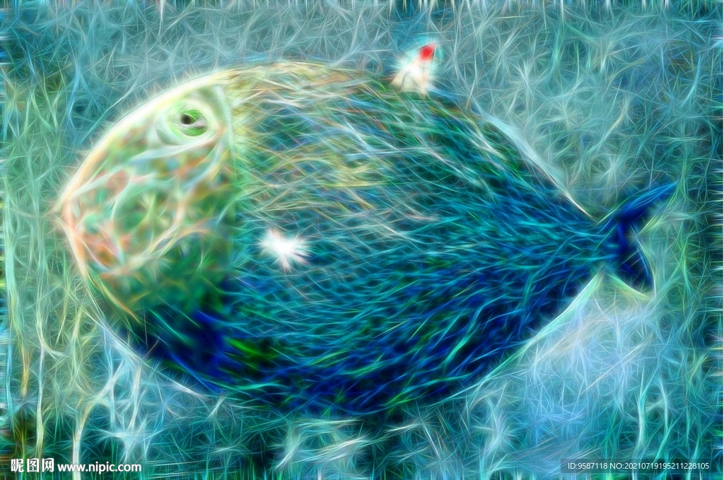 海洋里的鱼