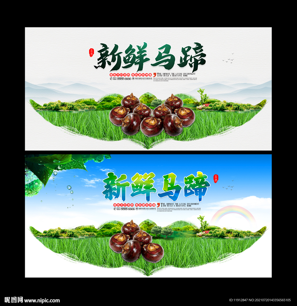 马蹄