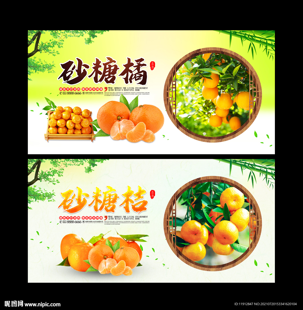砂糖桔