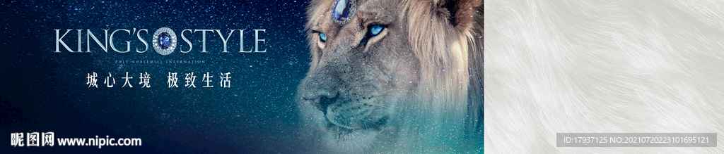 狮子 王者 音乐海报 动物园 