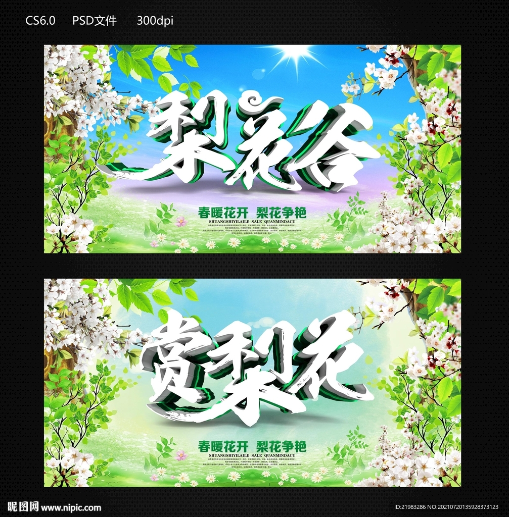 梨花节
