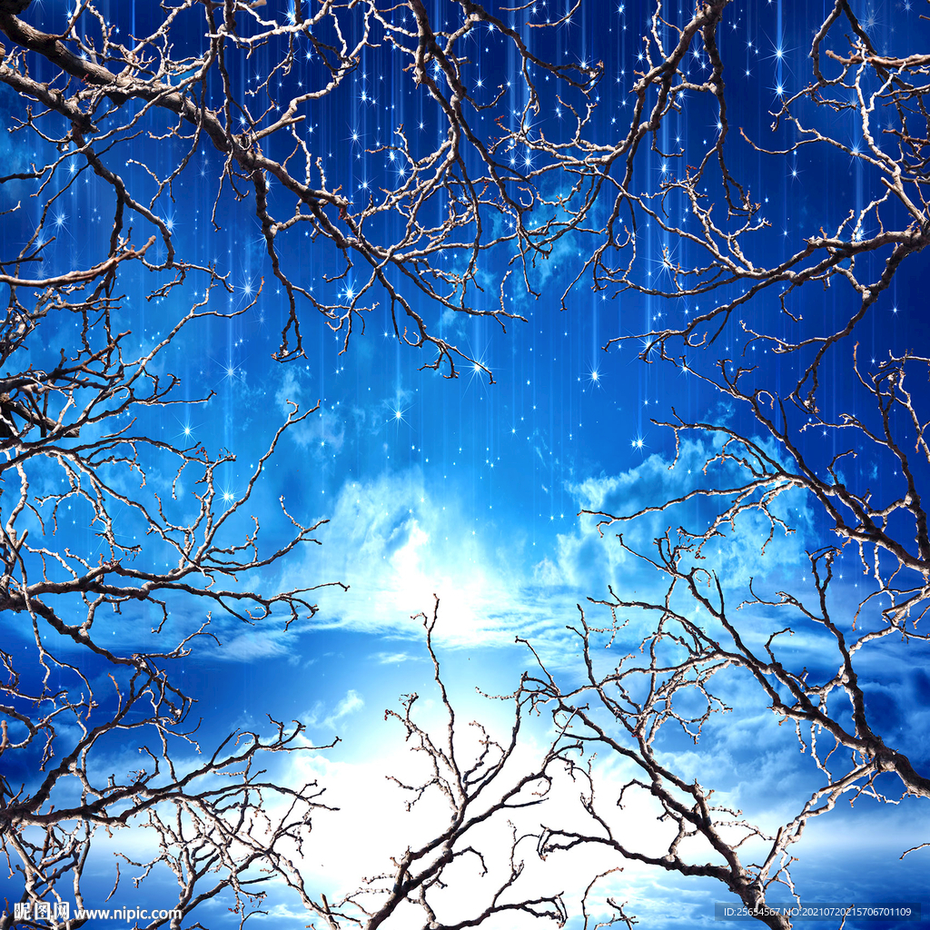 美梦幻森林星空天顶