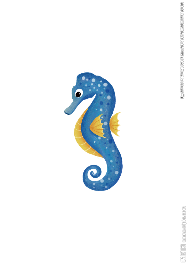 海马