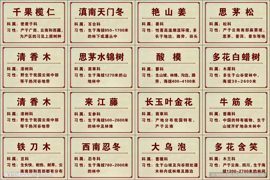 植物名称牌