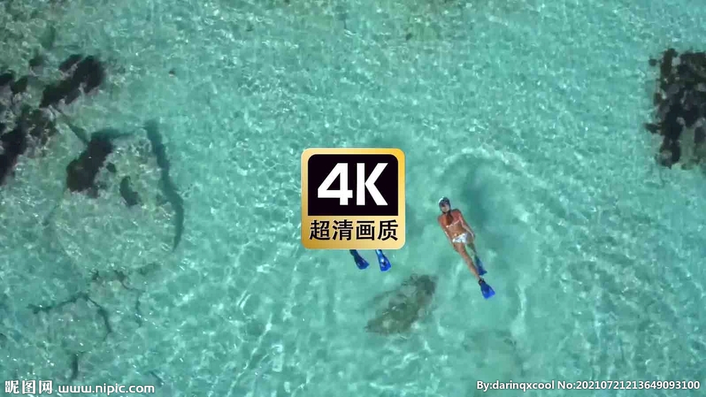 短视频素材海边游泳的情侣
