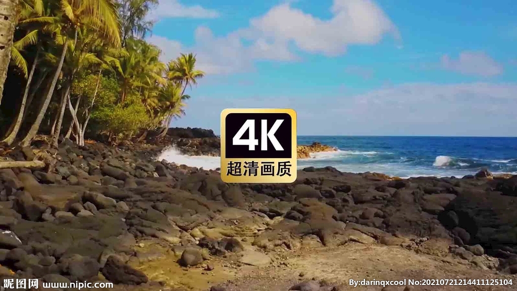 短视频素材热带海滩椰林海浪
