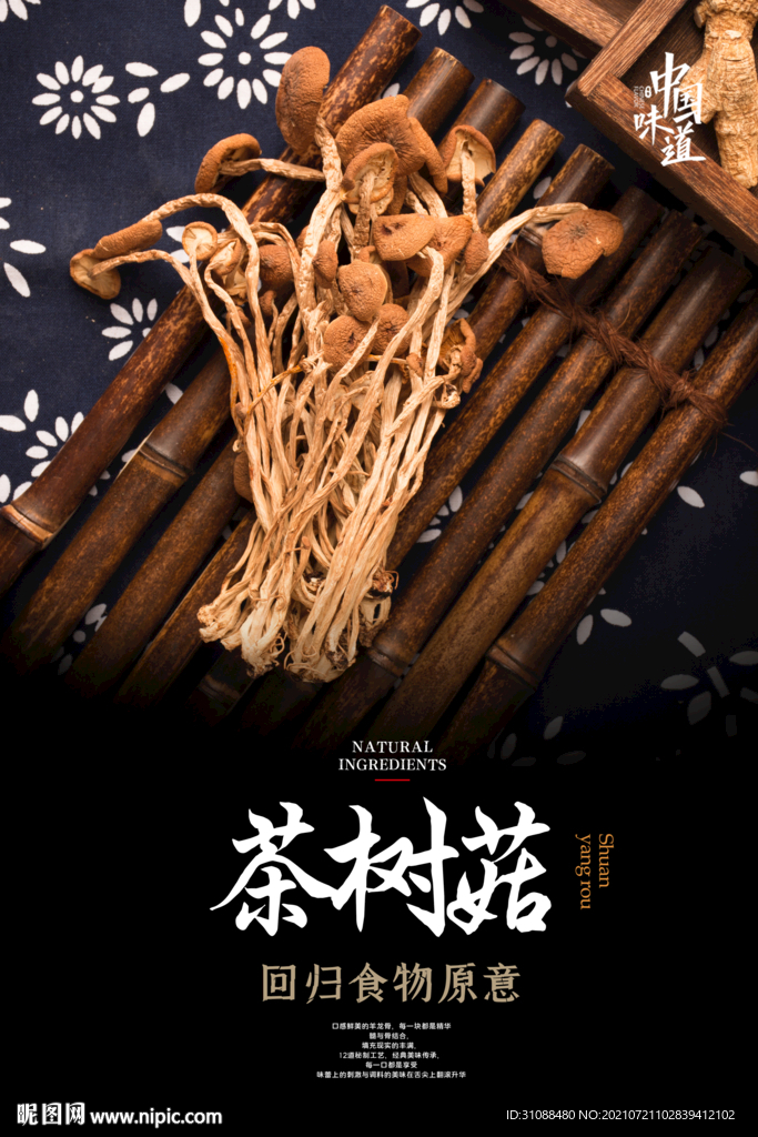茶树菇海报
