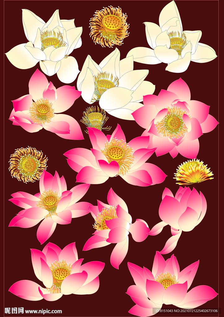 工笔画莲花