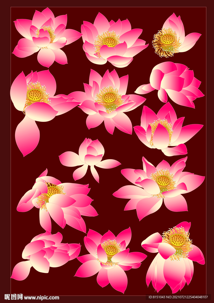 工笔画莲花