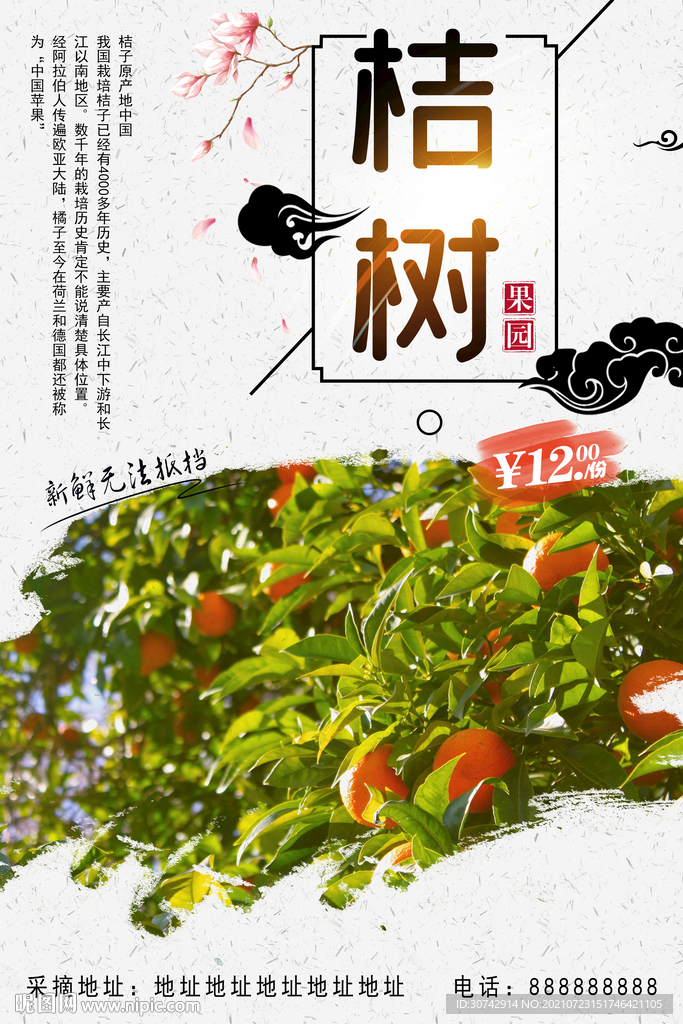 新鲜桔子