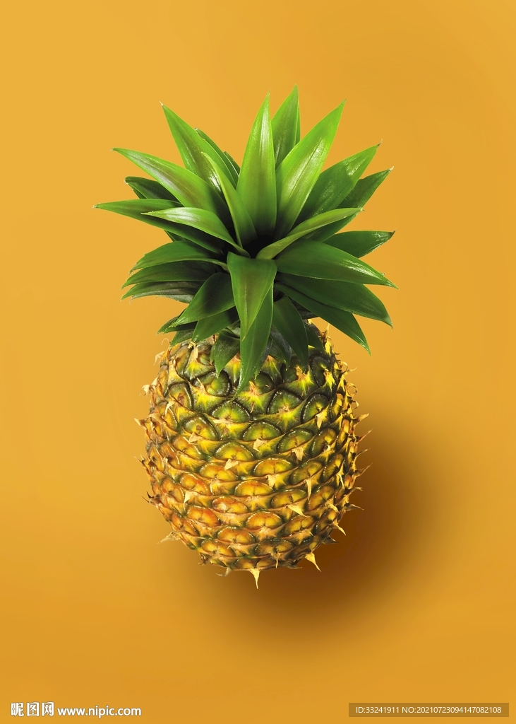 高清菠萝