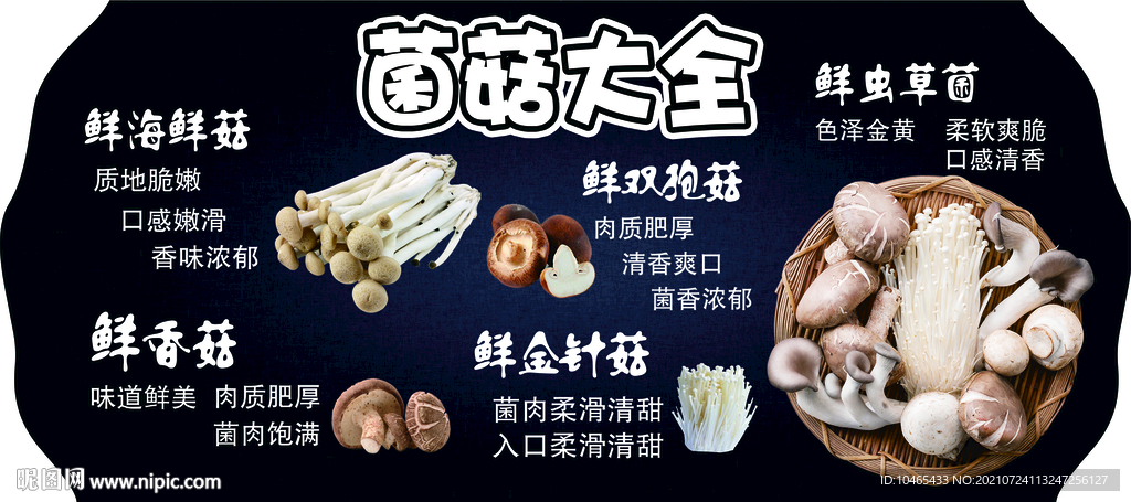 菌菇大全